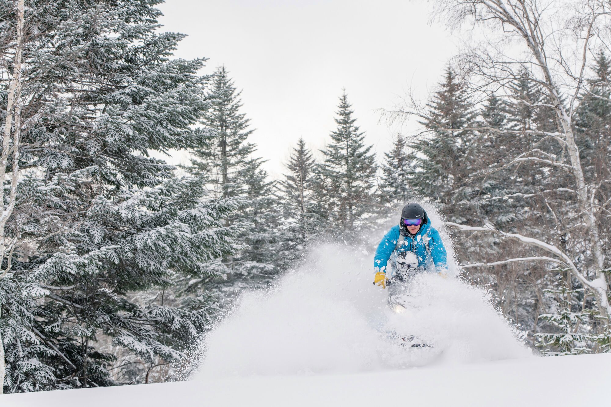 Niseko Airbnb Skiing